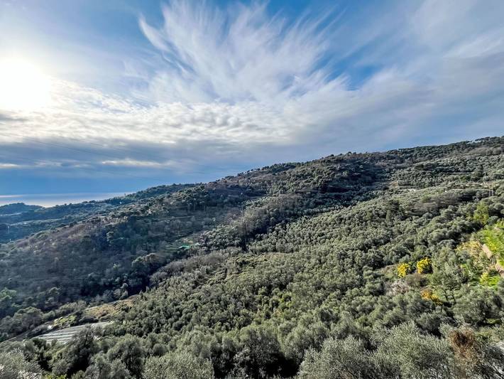 Location de vacances pour 8 personnes, avec terrasse dans Lingueglietta - 4