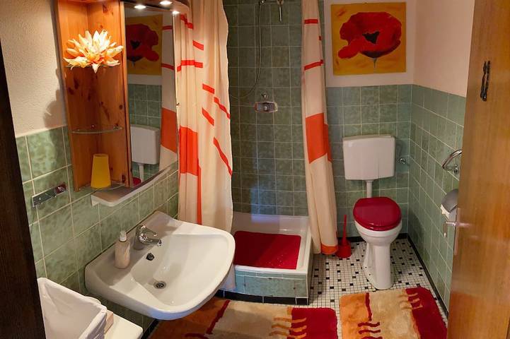 Ferienwohnung für 4 Personen, mit Garten und Sauna, mit Haustier in Kleines Wiesental - 4