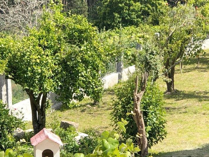 Casa rural para 6 personas, con jardín y vistas en Baixo Miño - 2
