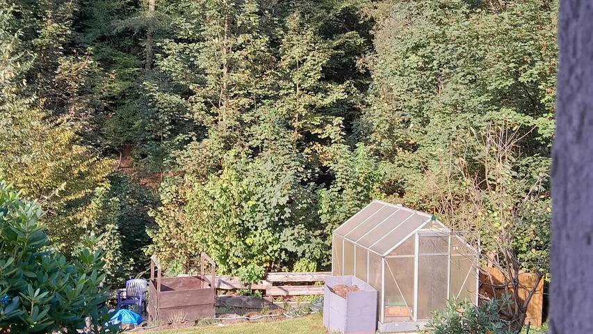 Ferienwohnung für 4 Personen, mit Pool und Garten in Wermelskirchen - 4