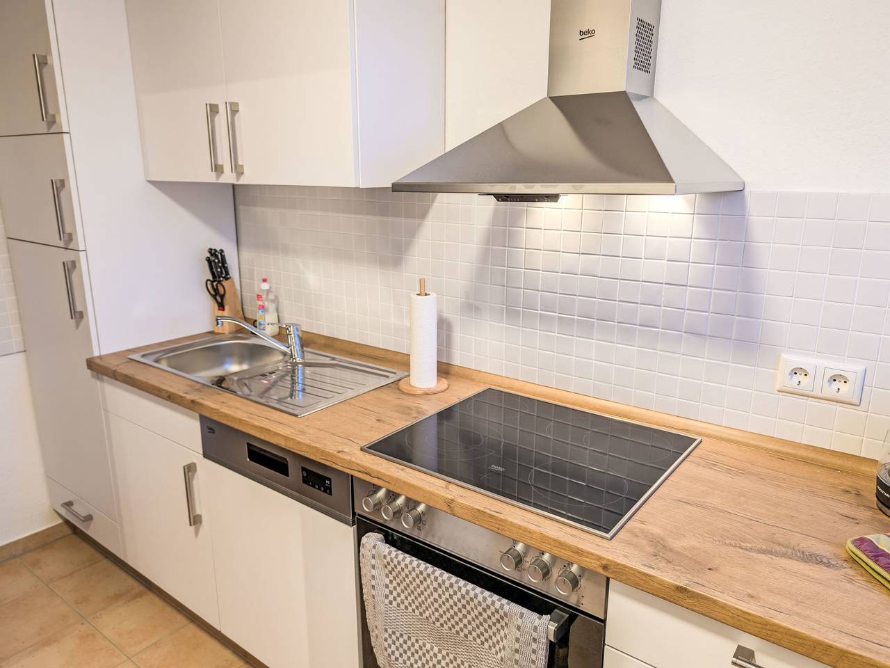 Ganze Wohnung, Graugans in Freiburg (Elbe), Cuxland