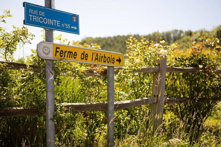 Chambre d’hôte pour 3 personnes, avec terrasse et vue ainsi que jardin et piscine à Yvoir - 3