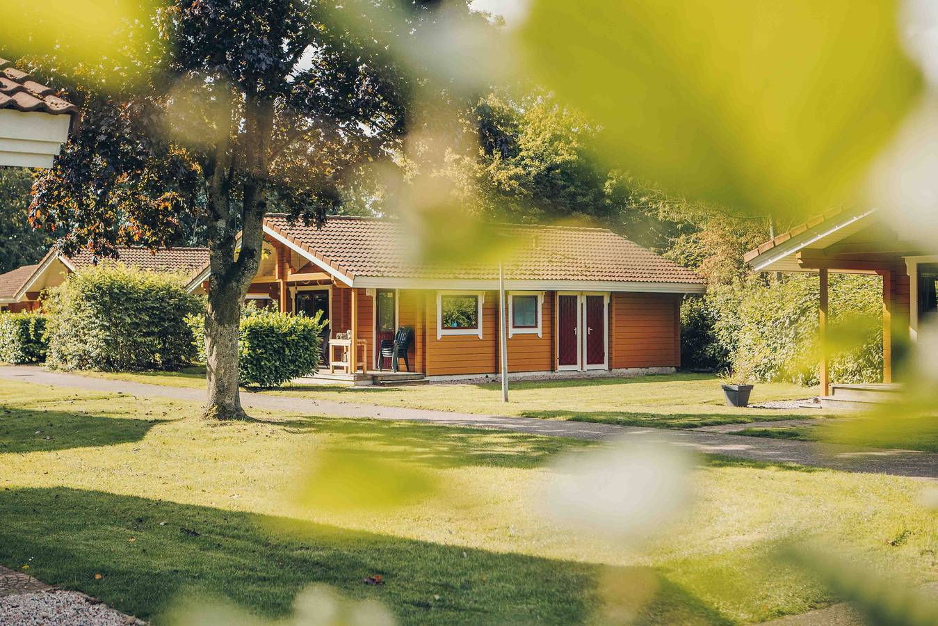 't Hooge Holt — De Grote Gramsberger Comfort | 6 Personen in Gramsbergen, Hardenberg