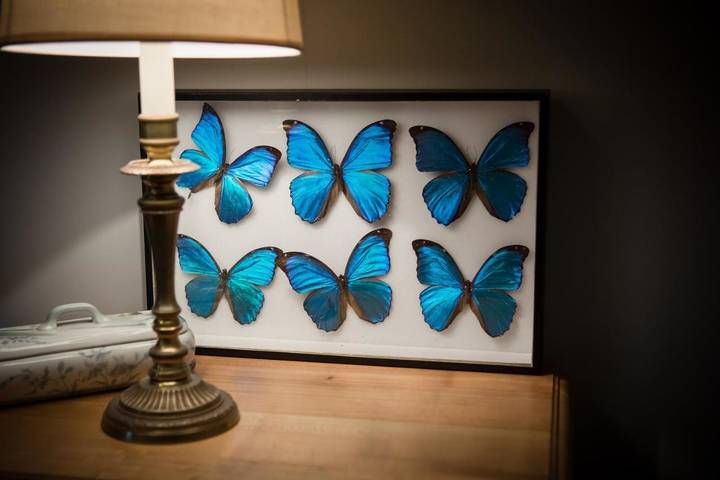 Location de vacances pour 12 personnes, avec terrasse et jardin dans Beaupréau-en-Mauges - 4