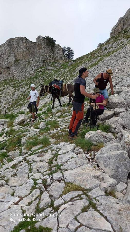 Guest House Qafe Dardha - Tomorr National Park in Roshnik, Albanie