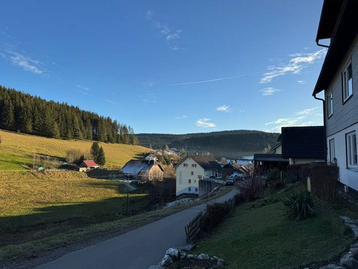 Ganze Wohnung, Apartment " Wanne" mit Terrasse, Wlan in Furtwangen ort, Furtwangen