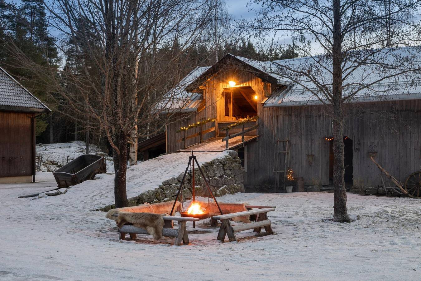 Hagastua Fritidsgård - 60 min Osl - Hester - Alpakka - Event in Stange