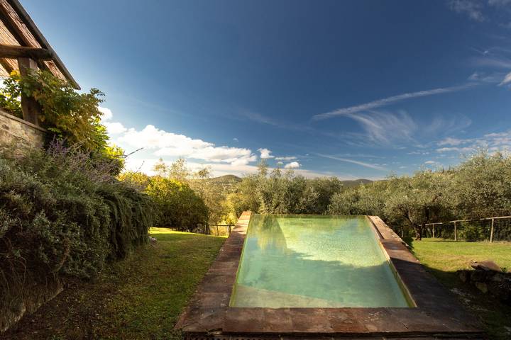 Location de vacances pour 12 personnes, avec jardin à Radda in Chianti - 3