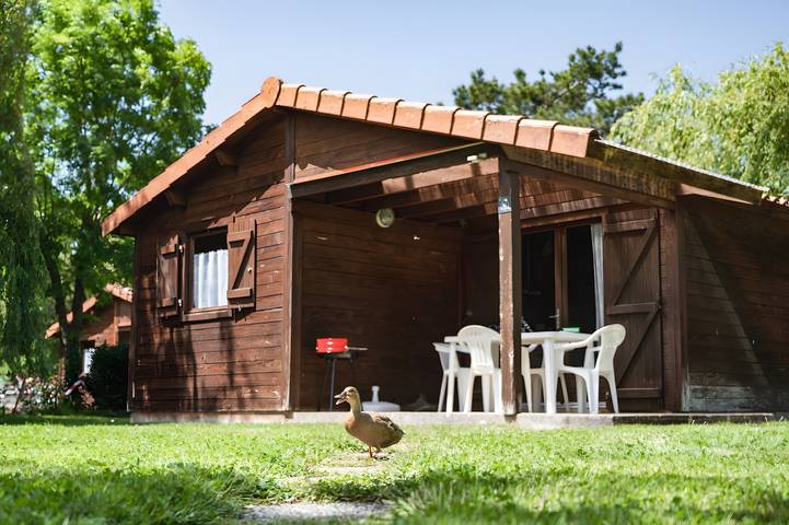 Camping für 6 Personen, mit Garten und Kinderpool in der Pays de la Loire - 2