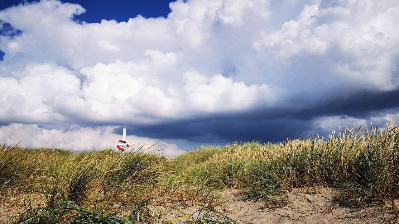 Ferienhaus für 4 Personen (44 m²) in Rødby in Hyldtofte Østersøbad, Rødby