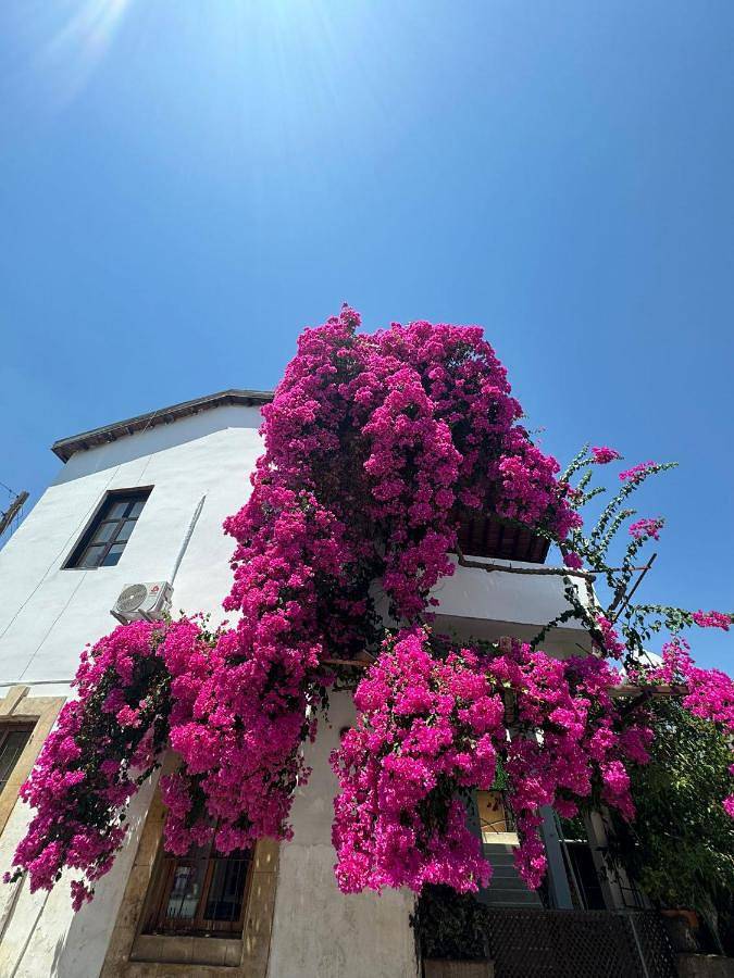 B&b per 7 persone, con Balcone e Terrazza nonché Giardino e Panorama a Nicosia