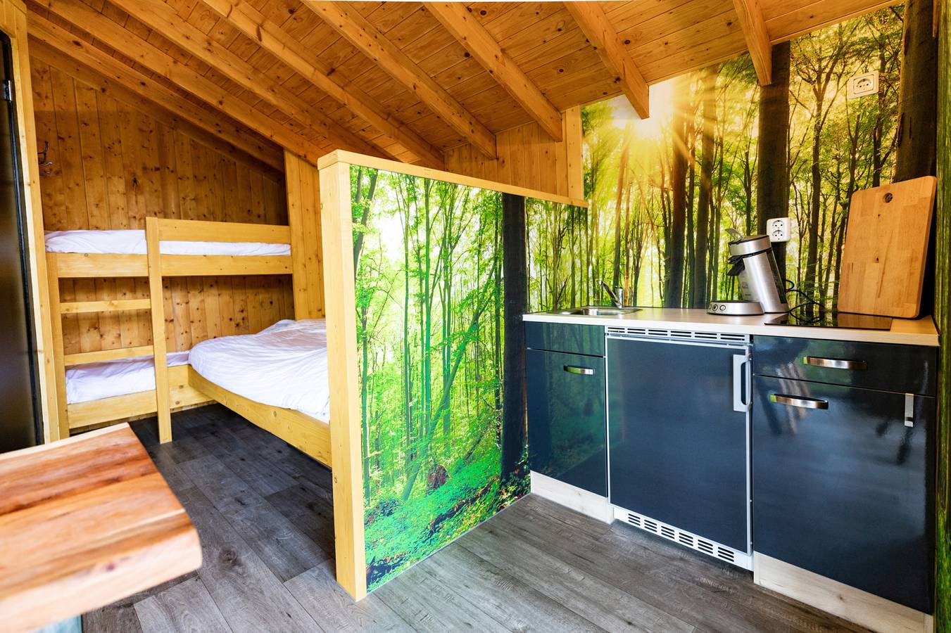 Gemütliches Tiny House für 4 Personen mit Veranda am Waldrand im Familienpark in Drenthe. in Drenthe