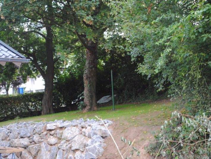 Ferienhaus für 6 Personen, mit Terrasse und Garten am Edersee - 3