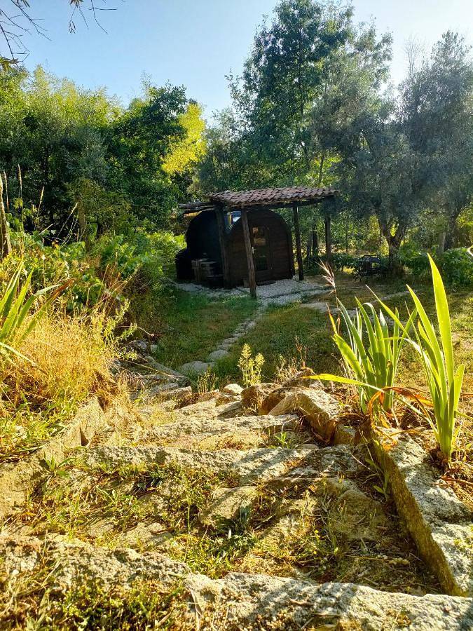 Quinta dos Covões in U.F Juncais, Vila Ruiva e Vila Soeiro do Chão, Serra da Estrela