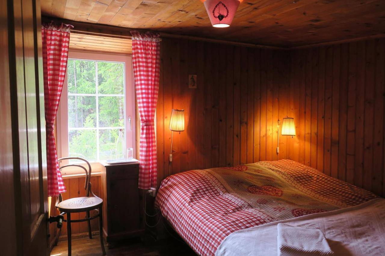 Edelweiss Mountain Guest House - 1 hour hike up from Zermatt station - On hiking trail - No transport in Zermatt, Alpes valaisannes