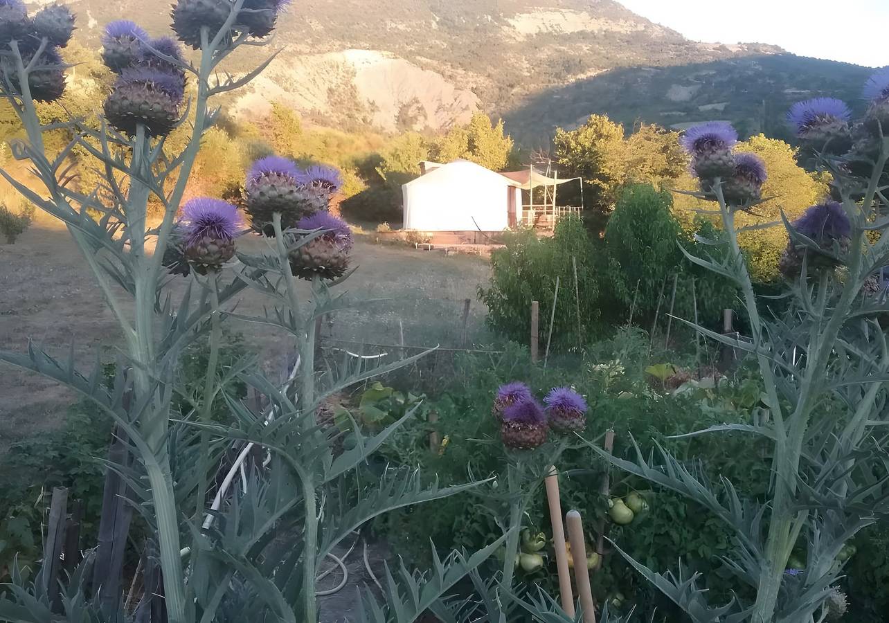 La yourte des abeilles, drôme provençale in La Roche-sur-le-Buis, Région de nyons