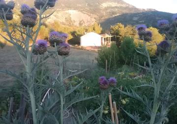 Camping für 4 Personen in La Roche-sur-le-Buis, Nyons und Umgebung, Bild 1