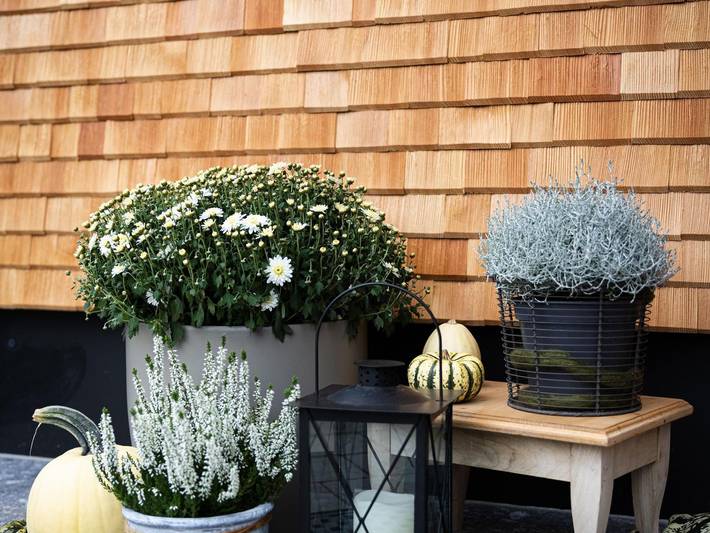 Ferienwohnung für 6 Personen, mit Garten in Bezau - 2