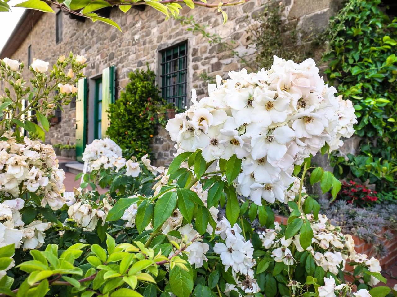 Haus 4 Personen in Montecatini-Terme, Pistoia Provinz