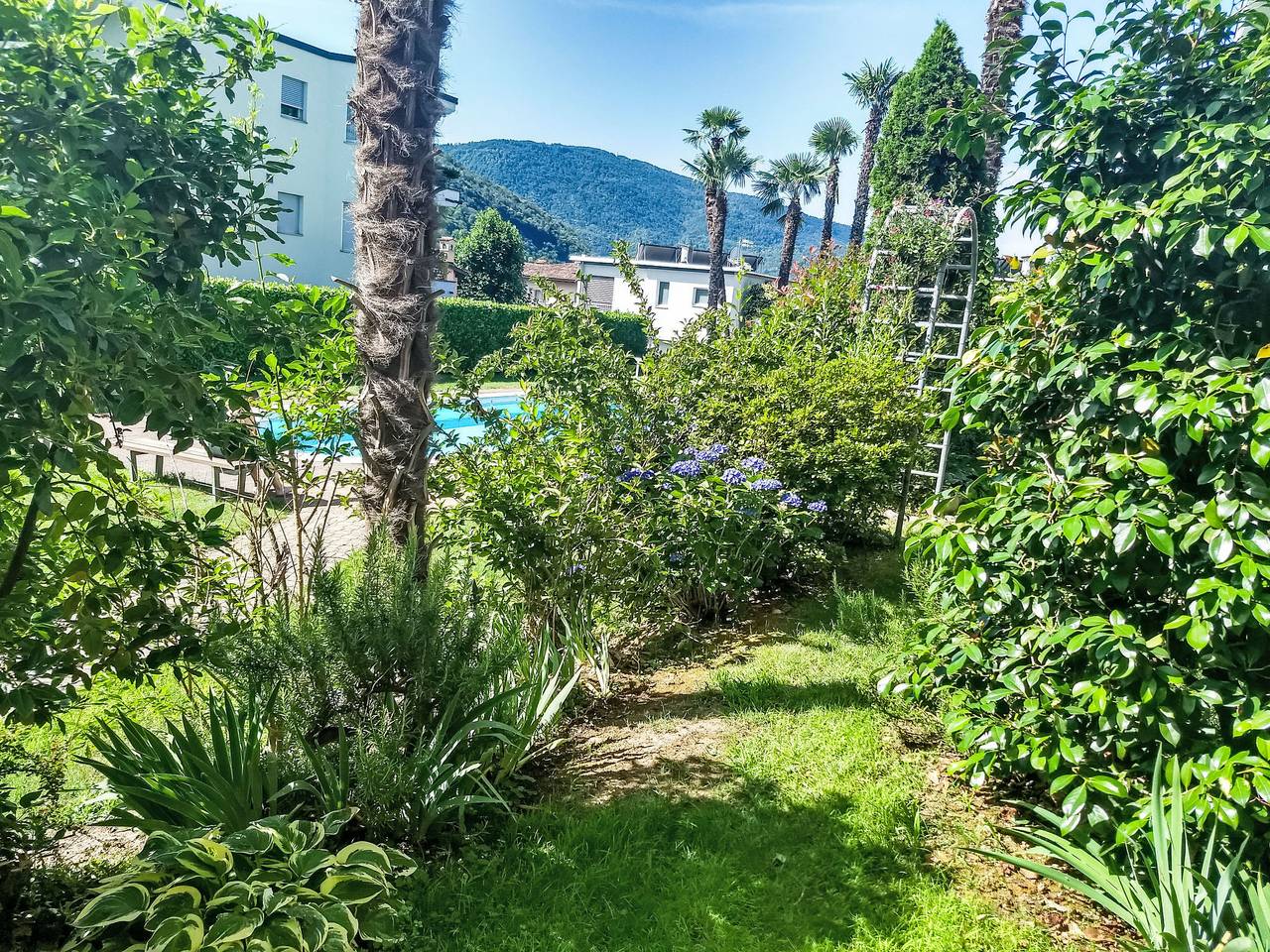 Ganze Wohnung, 2 Zimmer Gartenwohnung mit Pool in Caslano, Luganersee
