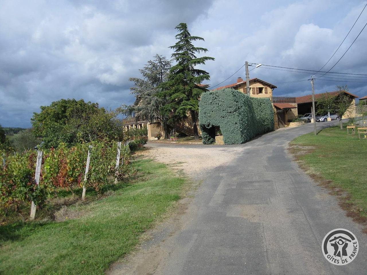 Gîte des Lauriers in Chessy (Rhône), Beaujolais