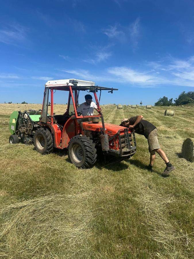 Tente pour 4 personnes, avec jardin, animaux acceptés dans le Tarn - 2