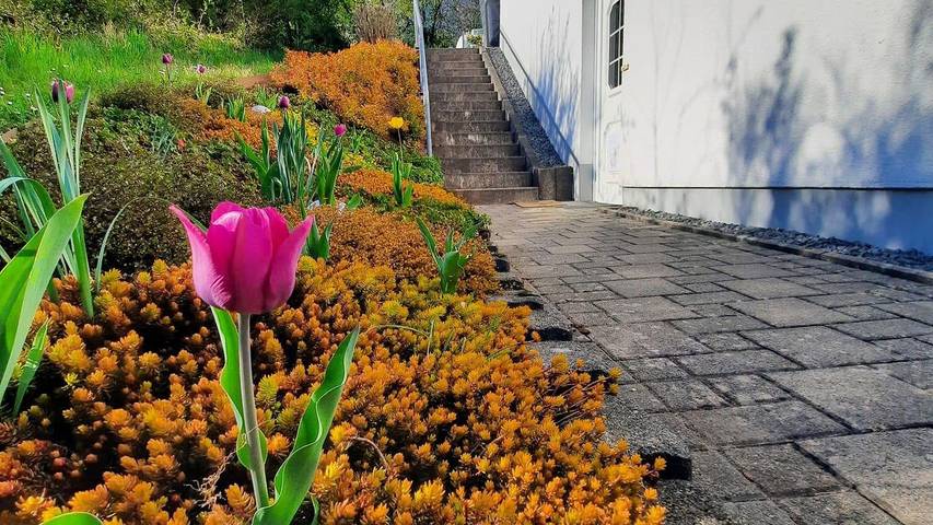 Ferienhaus für 4 Personen, mit Garten und Balkon in Losheim am See - 3