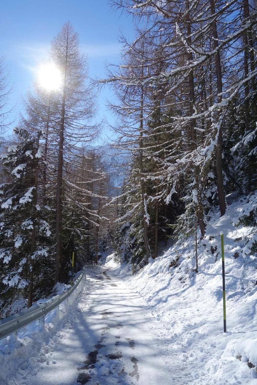Ferienhütte Premstlahof in Meiern, Martell