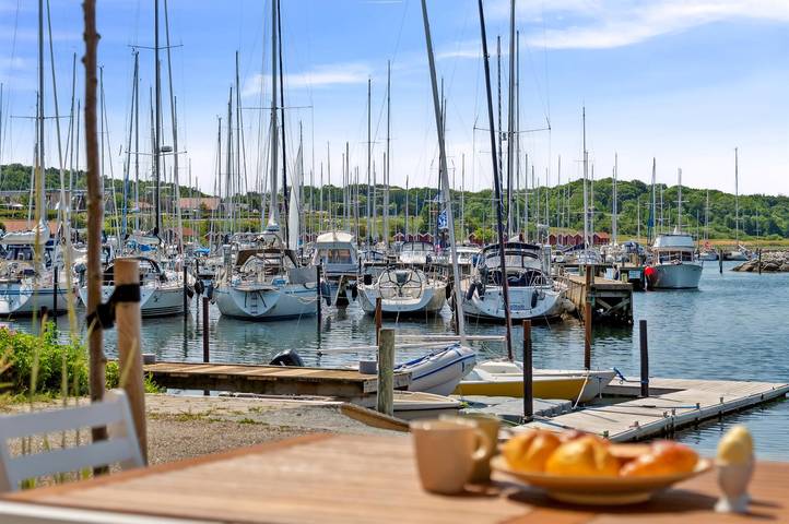 Pet friendly home in Ebeltoft with house sea view in Ebeltoft (Stadt), Ebeltoft