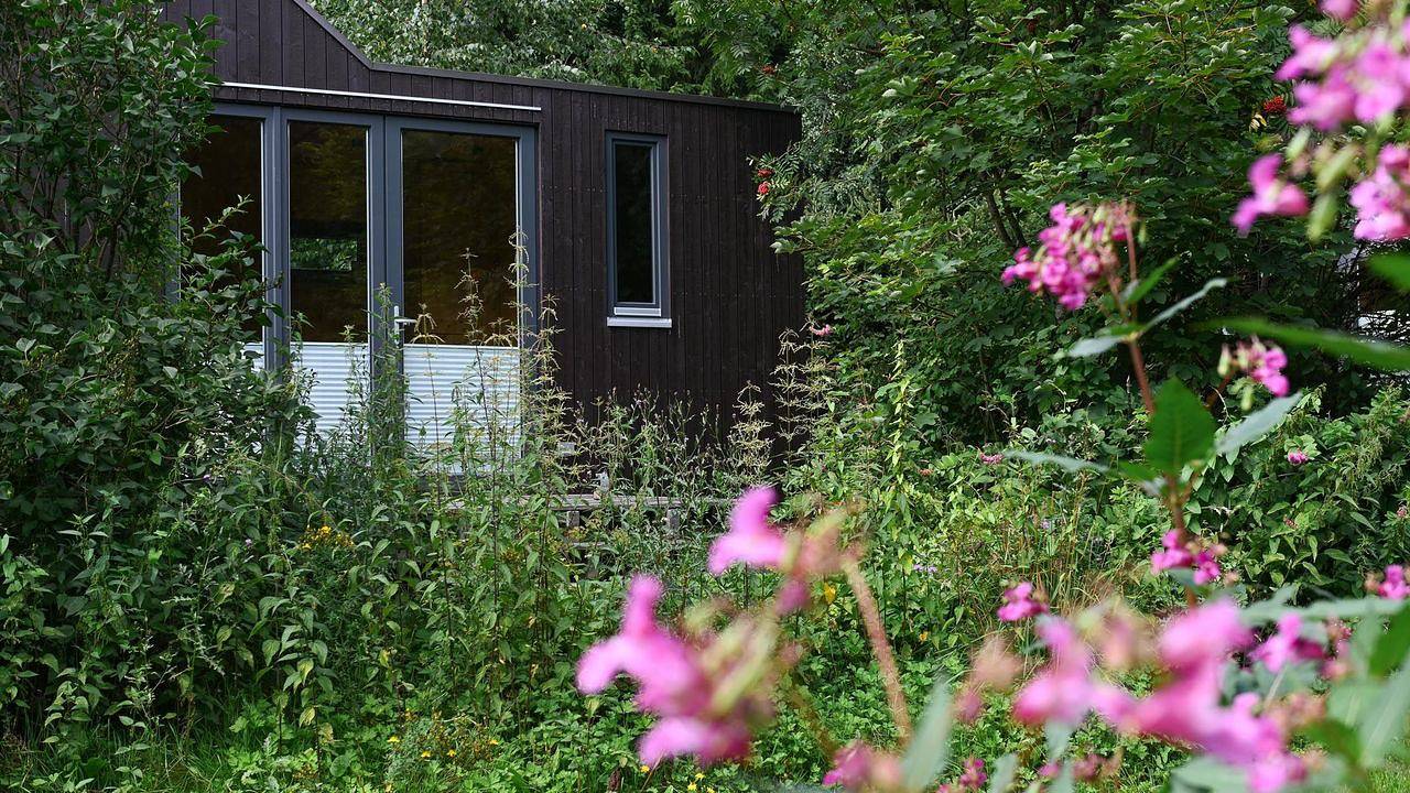 Ferienhaus für 4 Personen (18 m²) in Osterode am Harz in Osterode, Harzvorland