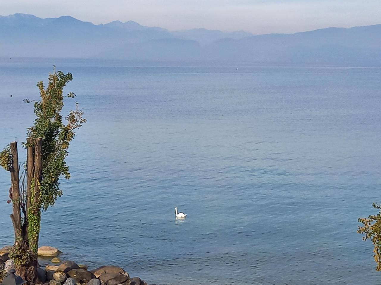 Apartamento vacacional entero, Holiday flat in Peschiera Del Garda with garden in San Benedetto (Peschiera del Garda), Peschiera del Garda