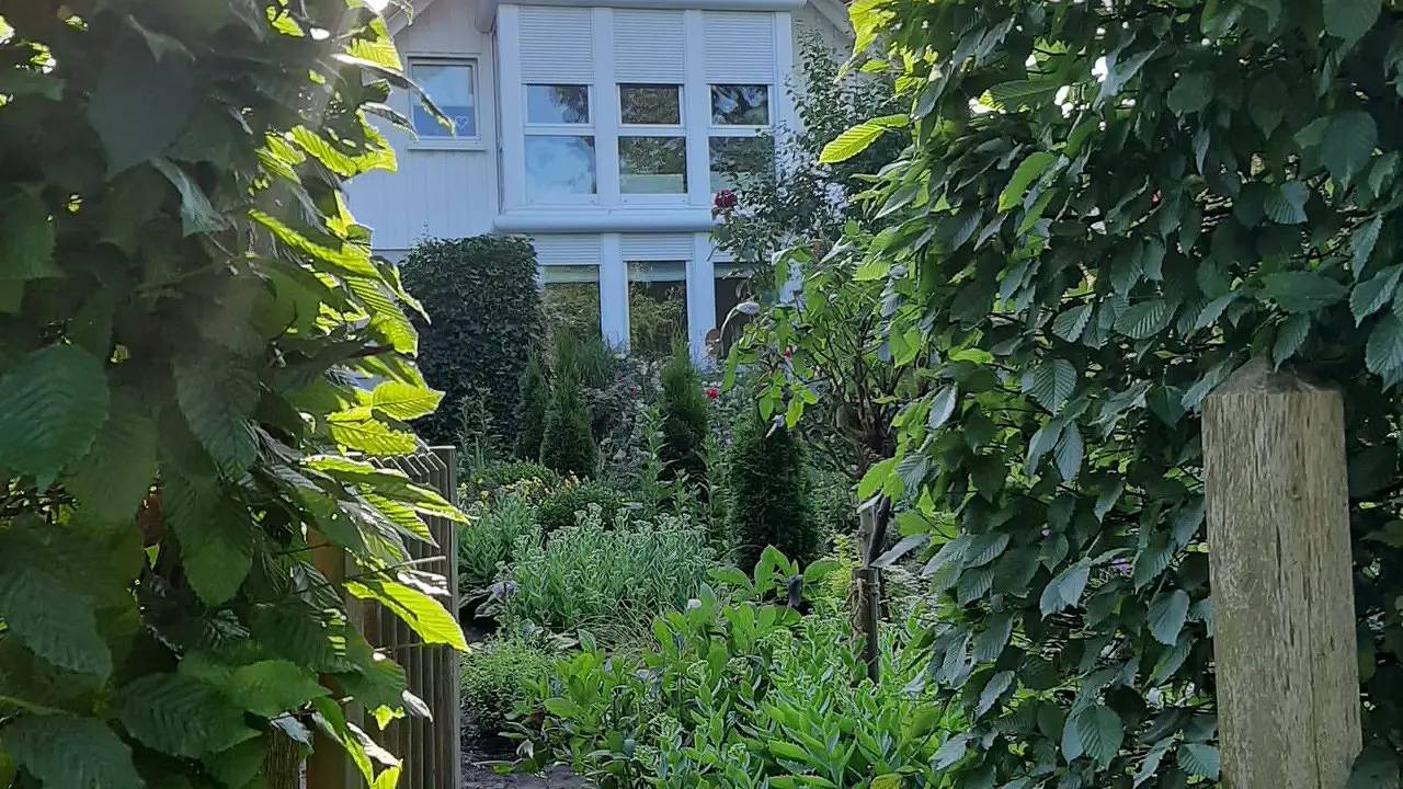 Ganze Ferienwohnung, Ferienwohnung für 3 Personen (50 m²) in Schwarmstedt in Schwarmstedt, Aller-Leine-Tal