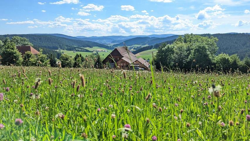 Ferienwohnung für 2 Personen, mit Garten und Pool sowie Sauna und Ausblick in Titisee-Neustadt
