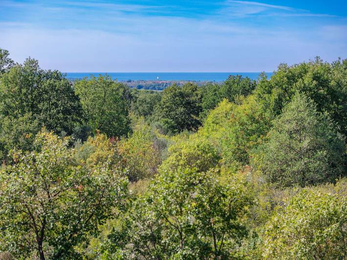 Ferienhaus für 8 Personen, mit Terrasse und Garten in Umag und Umgebung - 4