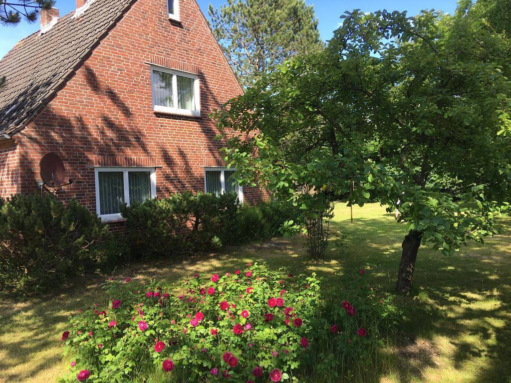Haus Albatros in St. Peter-Ording, Eiderstedt