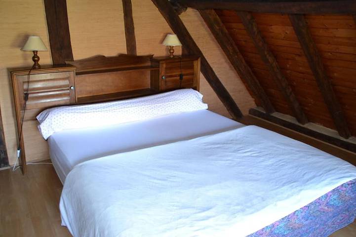 Gîte pour 11 personnes, animaux acceptés à Moncé-en-Belin - 4