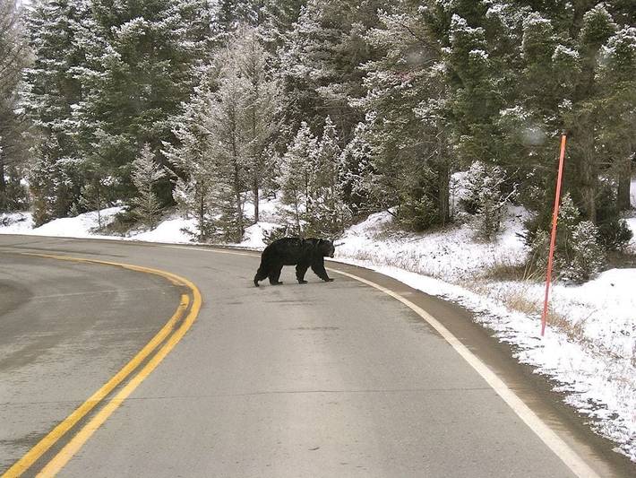 Appartamento per 4 persone, con terrazza e giardino in Stati Uniti d'America