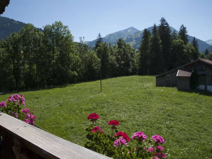 Gîte pour 2 personnes, avec balcon dans Gstaad - 2