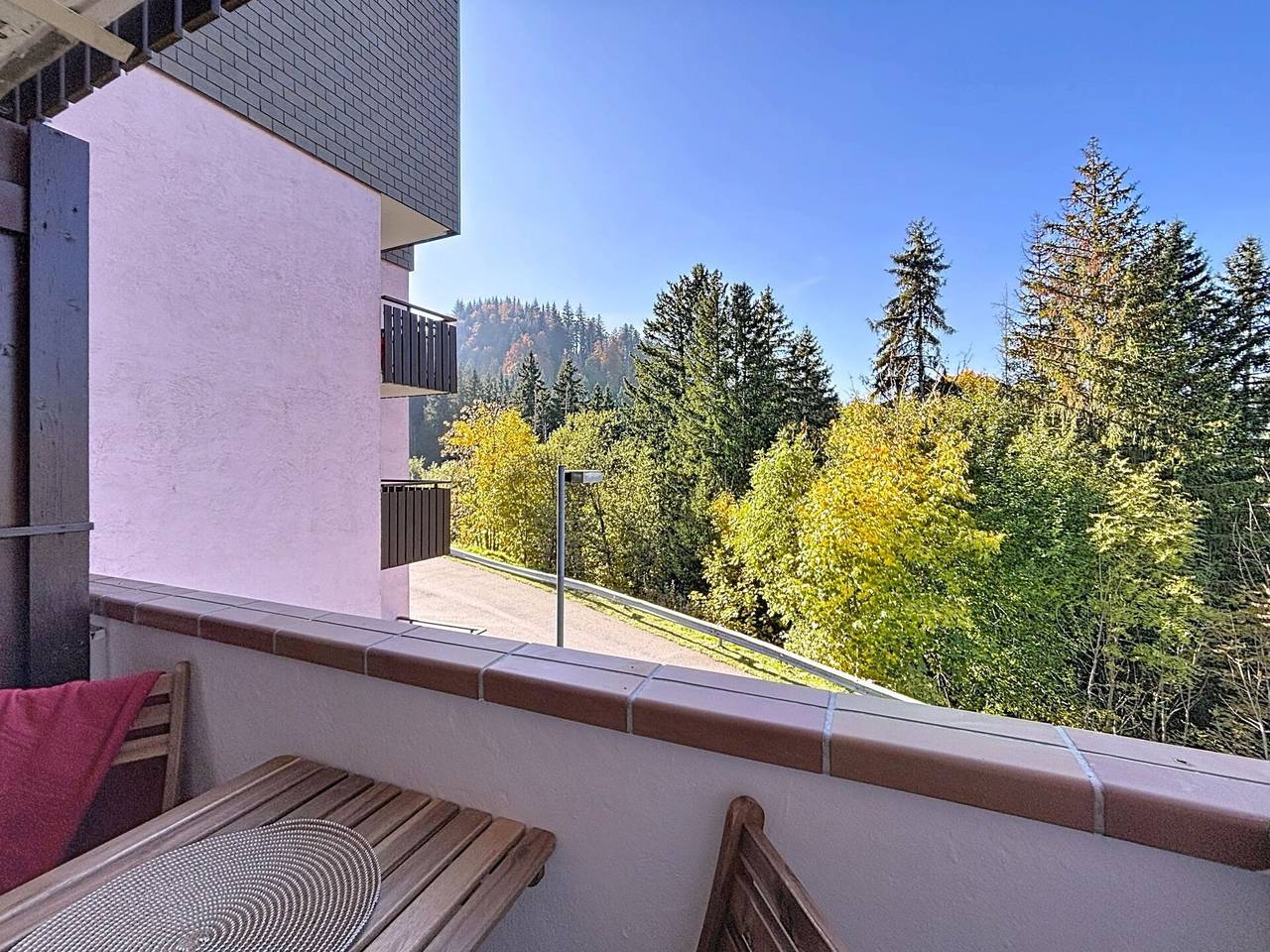 Apartamento entero, Résidence Des Montagnes - Résidence Des Montagnes 100.1 in Bellevaux, Thonon-les-Bains region
