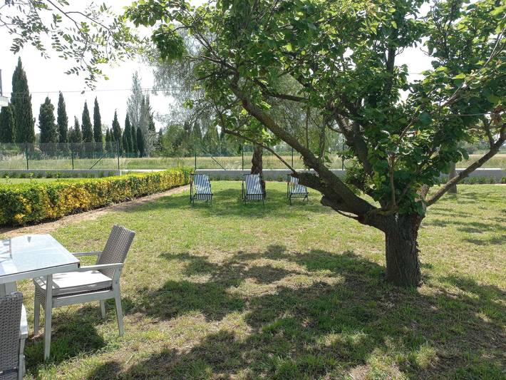 Casa rural para 6 personas, con vistas además de terraza y jardín en San Pedro Pescador - 4