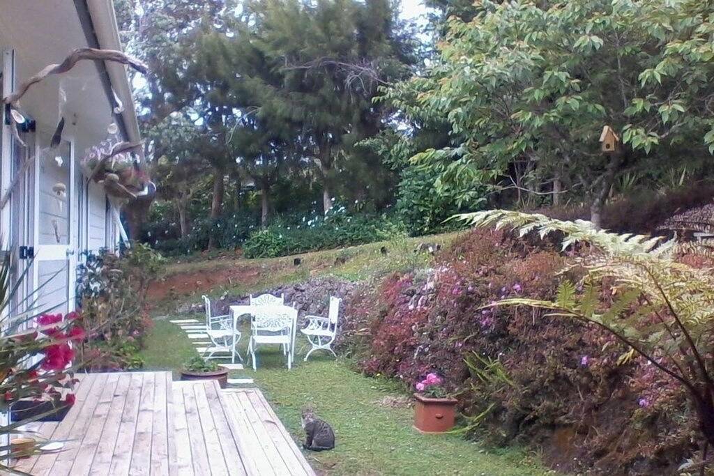 Tuis Nest- Privat und doch zentral, in der Nähe des Flusses .. in Kerikeri, Bay Of Islands