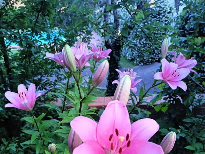 Maison de campagne pour 2 personnes, avec jardin et piscine à Lastra a Signa - 2