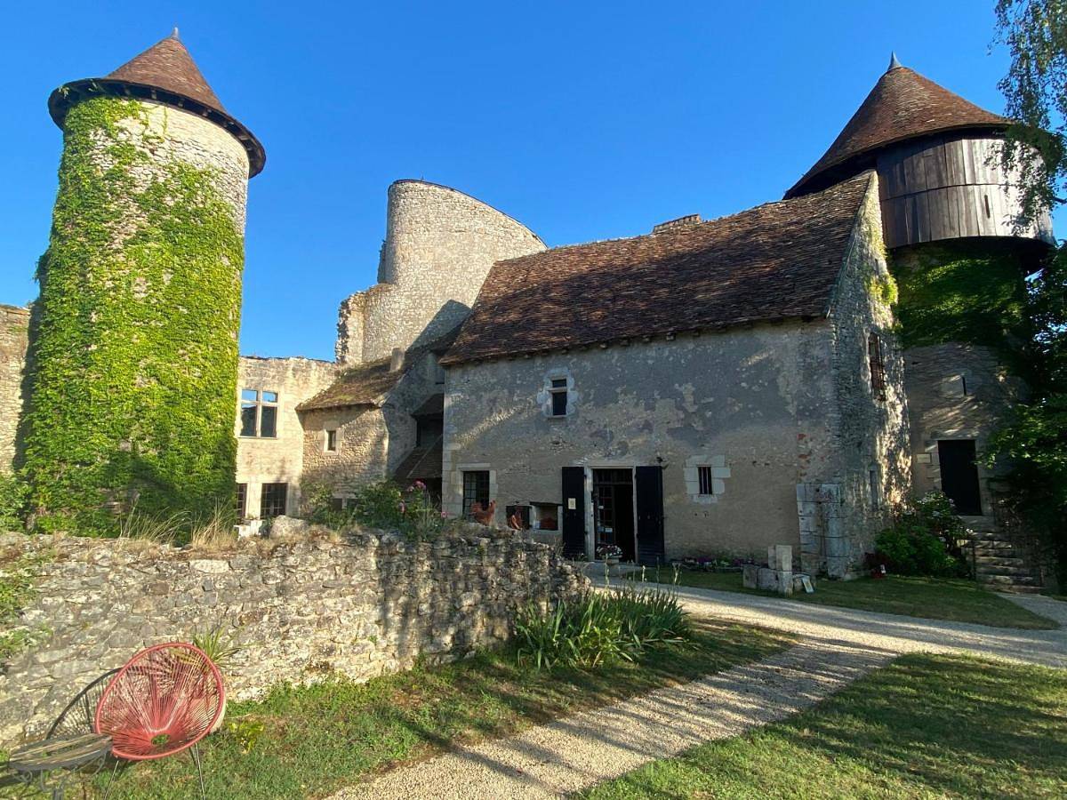 Chateau d'Ingrandes in Ingrandes, Région de Le Blanc