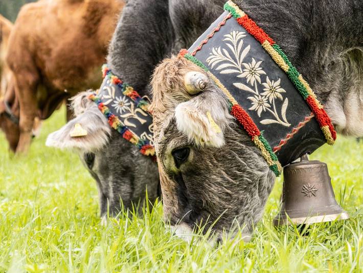 Ferienwohnung für 5 Personen, mit Balkon und Whirlpool, kinderfreundlich in Leutasch - 4