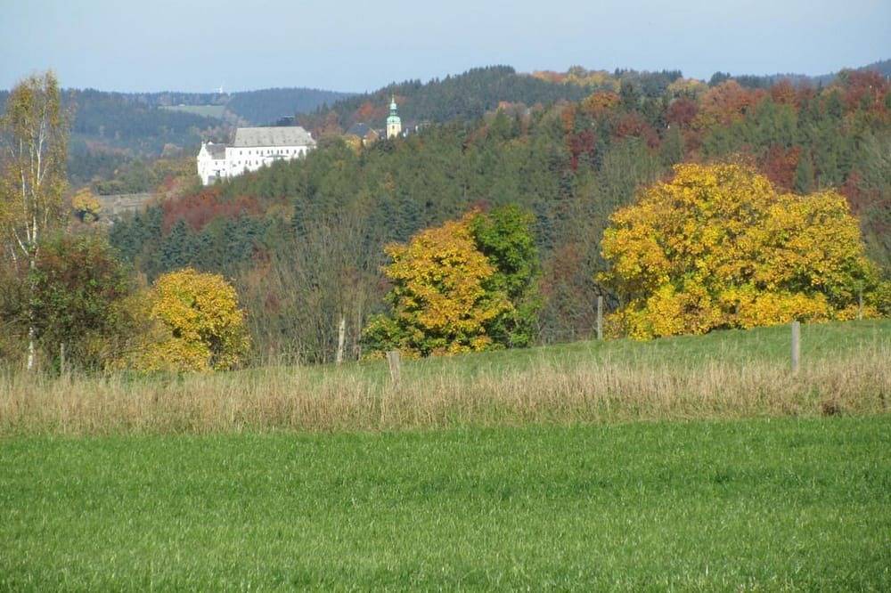 Ganze Wohnung, Ferienwohnung Sprunk in Großrückerswalde, Erzgebirge