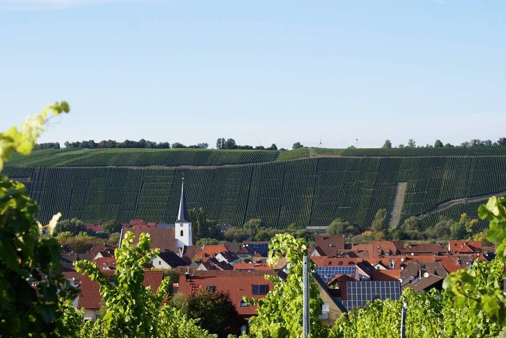 Weingut und Gästehof Borst - Moderne Ferienwohnung mit kostenfreiem Wlan in Nordheim am Main, Fränkisches Weinland