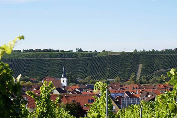 Pension für 2 Personen, mit Balkon und Balkon/Terrasse sowie Terrasse und Garten in Fränkisches Weinland - 2