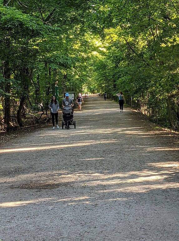 Ganze Wohnung, Game Day Weekend Condo! Walk To Campus! Pet Friendly! Whirlpool Trails! in Oxford (MS), Lafayette County