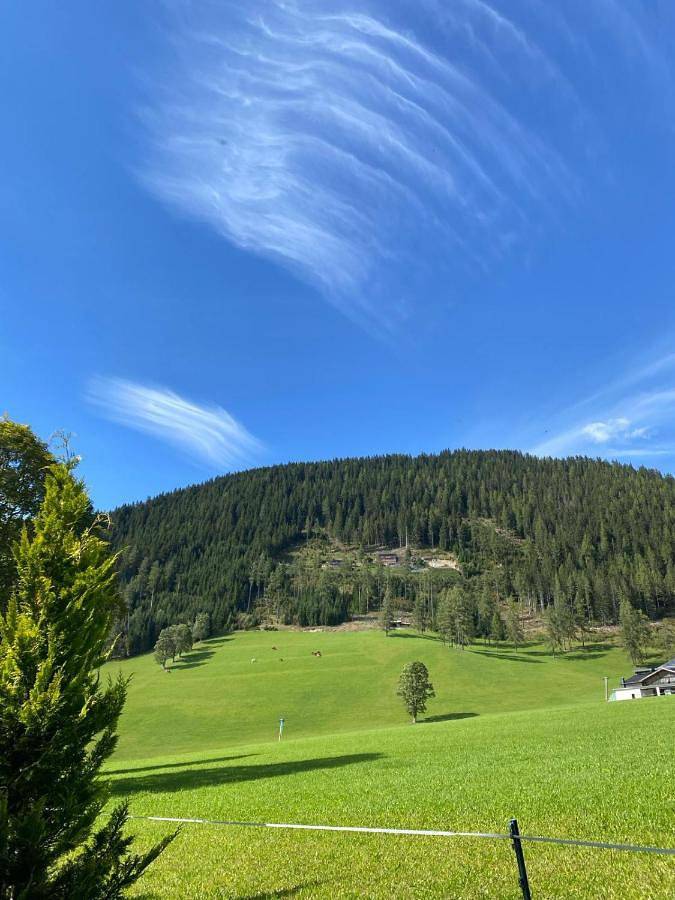 BnB für 3 Personen, mit Terrasse und Sauna sowie Ausblick in Ramsau am Dachstein - 3