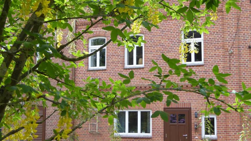 Ferienwohnung für 4 Personen, mit Terrasse in Landkreis Verden - 3